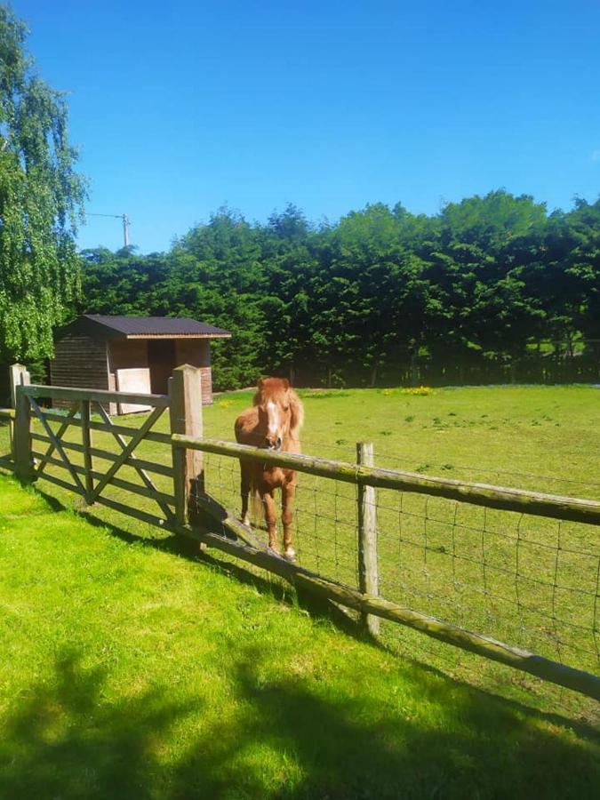 Yew Tree Barn * Prees